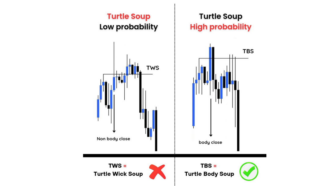 What is Turtle Soup and it's types ?