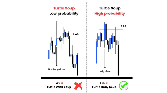 What is Turtle Soup and it's types ?